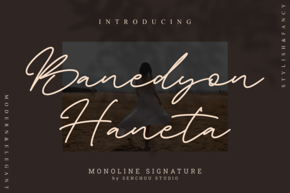 Elevate Your Brand with Banedyon Haneta Typeface