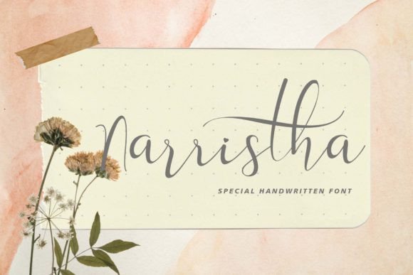 Narristha: The Elegant Script Font for Web Design