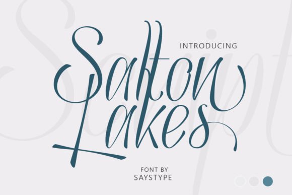 Salton Lakes Font: A Joyful Script for Small Business Branding