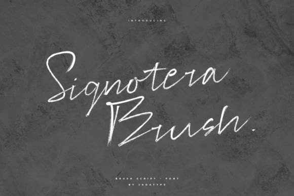 Signotera Brush: The Perfect Script Font for Makers