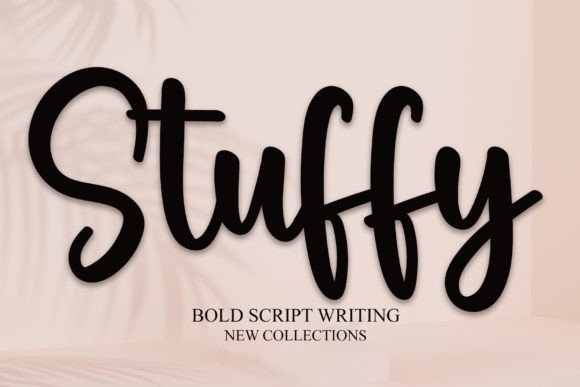 Stuffy: A Dainty Script Font for Handmade Brands