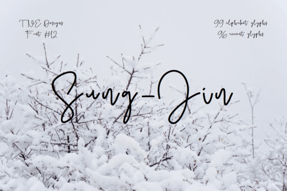 Sung-jin Font Review: A Cute Script for Designers