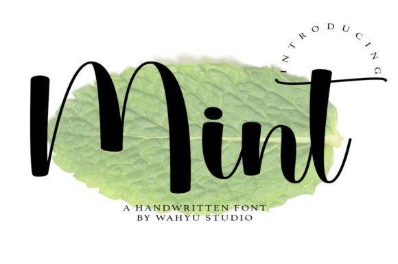 Why Mint Is the Perfect Script Font for Modern Campaigns