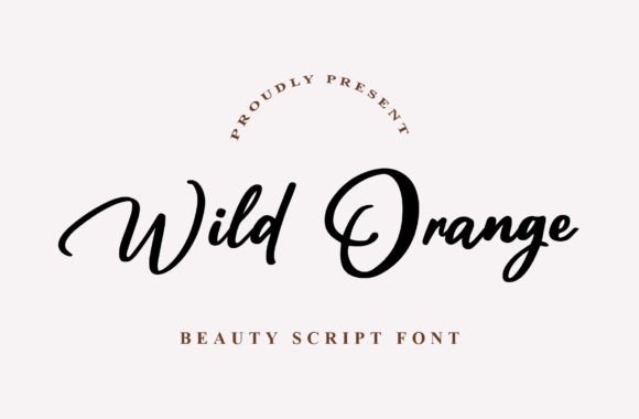 Wild Orange: A Modern Script Font for Editorial Design